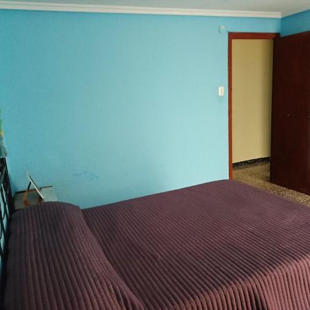 Habitacion Elche, Comunidad Valenciana. المظهر الخارجي الصورة