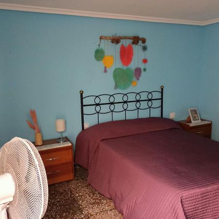 Habitacion Elche, Comunidad Valenciana. المظهر الخارجي الصورة