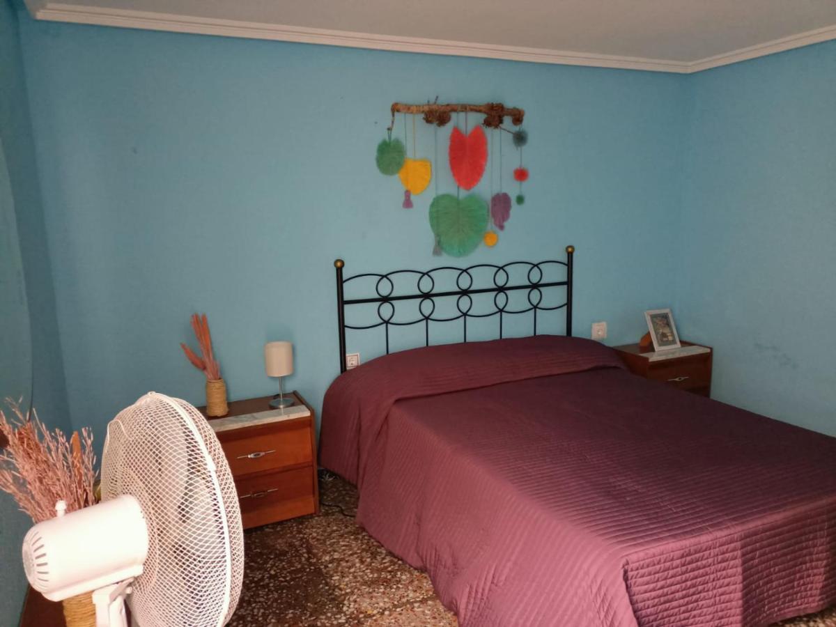 Habitacion Elche, Comunidad Valenciana. المظهر الخارجي الصورة
